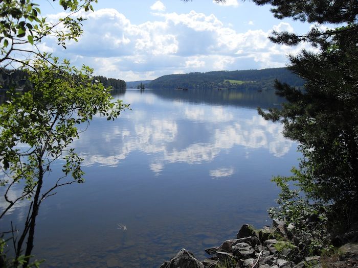 Bingen Lenseminneforening inviterte til  «beversafari» på Teten…