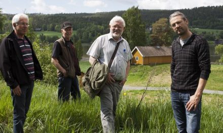 Interessante lenseplasser ved Bingen lenser i Sørum