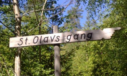 St. Olavsgangen – 7. klasse ved Vesterskaun Skole vedlikeholder stien