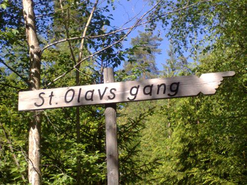 St. Olavsgangen – 7. klasse ved Vesterskaun Skole vedlikeholder stien