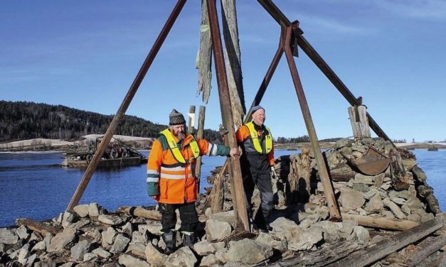 «FRA TREET I SKOGEN TIL LENSEKAR VED BINGEN»